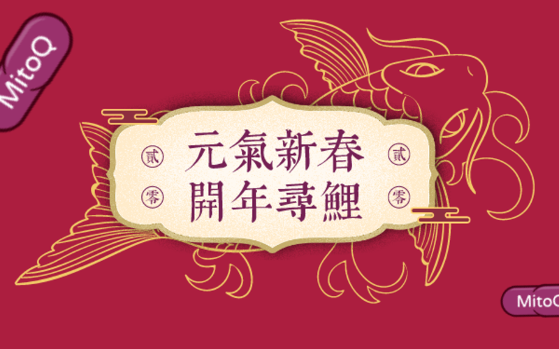CNY H5 Game Campaign
